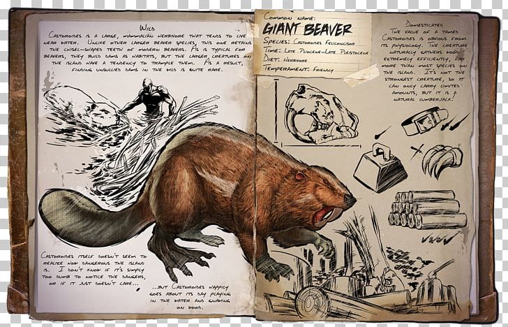 ARK: Survival Evolved Giant Beaver Castoroides Tapejara PNG, Clipart, Animals, Ark Survival Evolved, Bear, Beaver, Carnivoran Free PNG Download