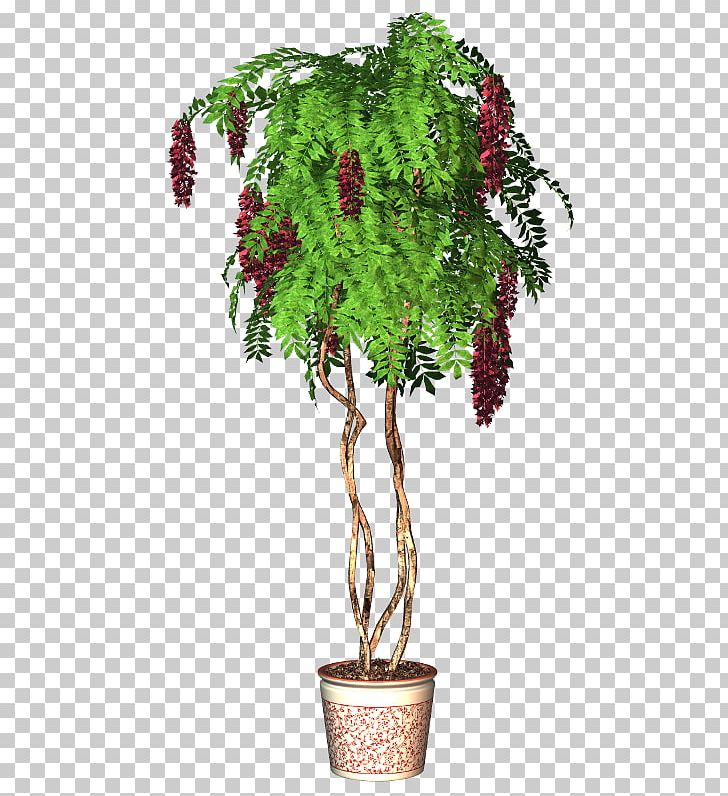 Flowerpot Tree Plant PNG, Clipart, 3 Flower Red, Branch, Crock, Evergreen, Flower Free PNG Download
