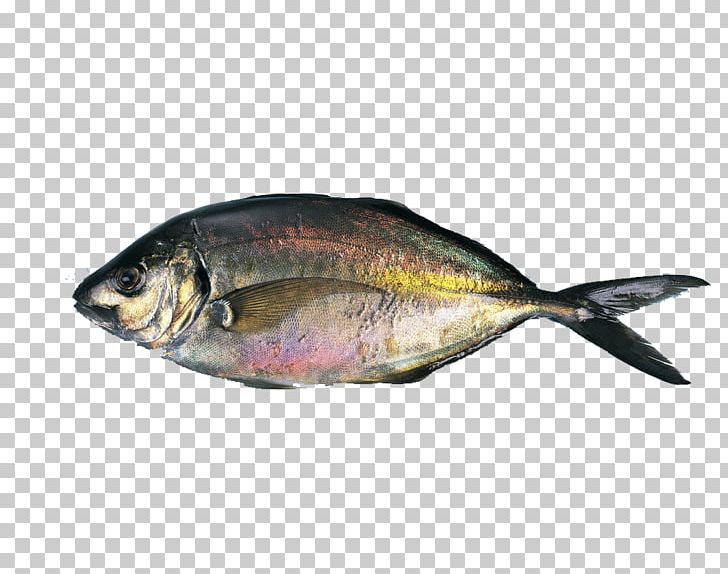 Sashimi Salted Fish Food PNG, Clipart, Animals, Animal Source Foods, Aquarium Fish, Atlantic Horse Mackerel, Black Jack Free PNG Download