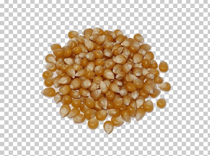 Cereal Germ Grains PNG, Clipart, Amaranth, Amaranth Grain, Amp, Bean, Beans Free PNG Download