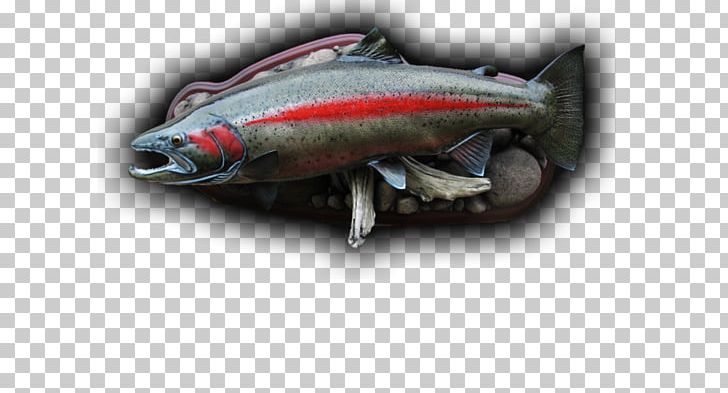 Sardine Fish Products 09777 Oily Fish Mackerel PNG, Clipart, 09777, Animal Source Foods, Bony Fish, Brook Trout, Fish Free PNG Download