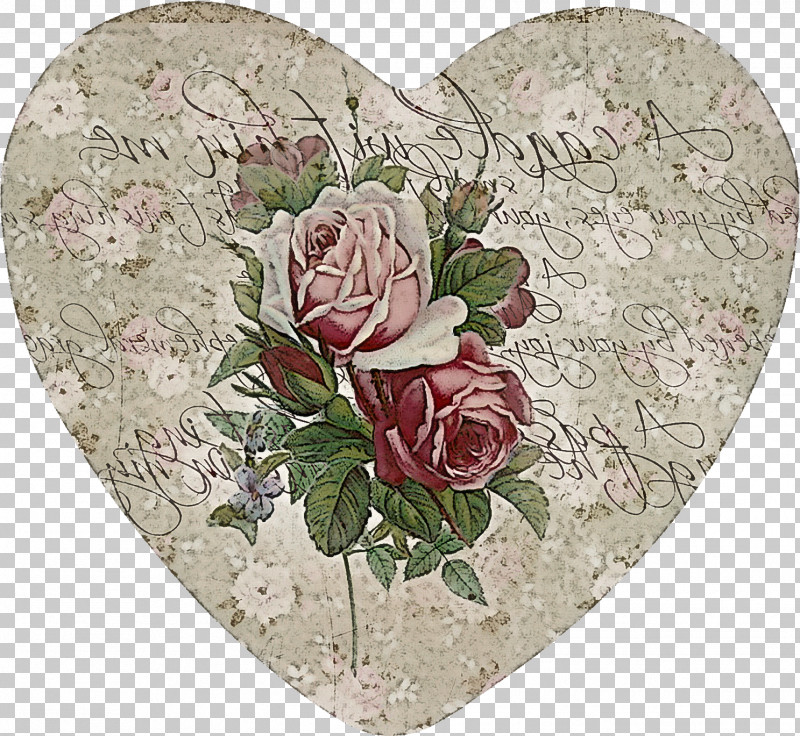 Garden Roses PNG, Clipart, Cabbage Rose, Cut Flowers, Floral Design ...