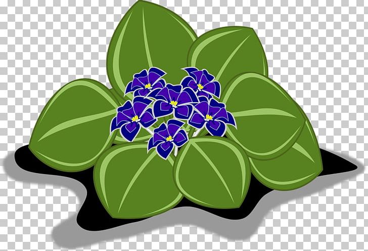 African Violets PNG, Clipart, African, African Violets, Clip, Download, Flor Free PNG Download