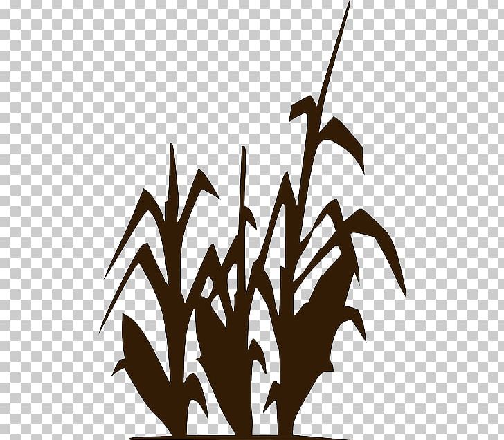 Agriculture Crop Maize Portable Network Graphics PNG, Clipart, Agriculture, Animals, Black And White, Branch, Crop Free PNG Download