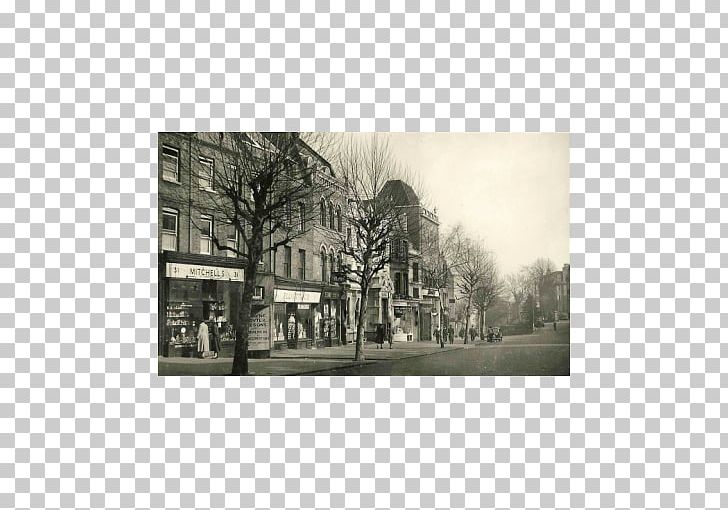 Architecture Facade Tree PNG, Clipart, Architecture, Black And White, Facade, History, Hitsujigaoka Observation Hill Free PNG Download