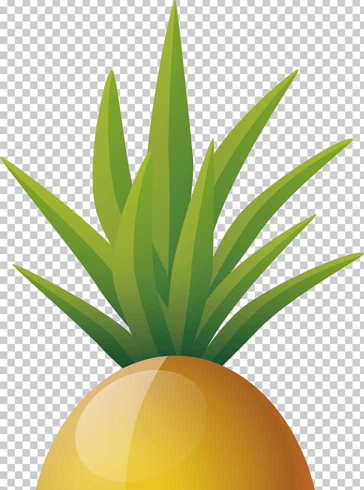 ArtWorks PNG, Clipart, Aloe, Ananas, Cartoon, Color, Fruit Free PNG Download