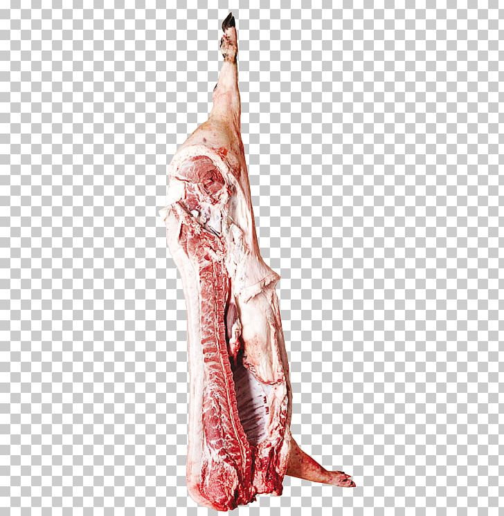 Black Iberian Pig Ham Embutido Carne De Porco à Alentejana Alentejo PNG, Clipart, Alentejo Nutsii, Animal, Black Iberian Pig, Charcuterie, Costume Design Free PNG Download