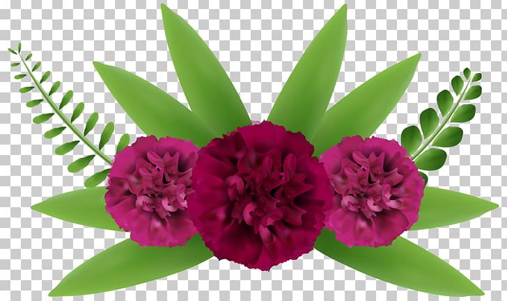 Flower Beauty PNG, Clipart, Beautiful, Beautiful Plant Cliparts, Beauty, Clip Art, Color Free PNG Download