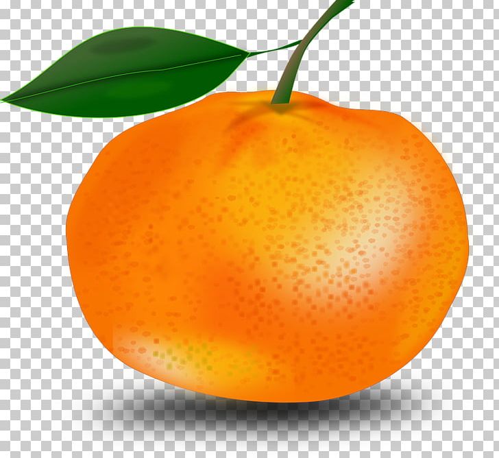Orange PNG, Clipart, Art, Bitter Orange, Citrus, Clementine, Computer Icons Free PNG Download