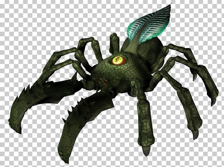 Wikia Spider PNG, Clipart, Arachnid, Arthropod, Decapoda, Download, Internet Media Type Free PNG Download