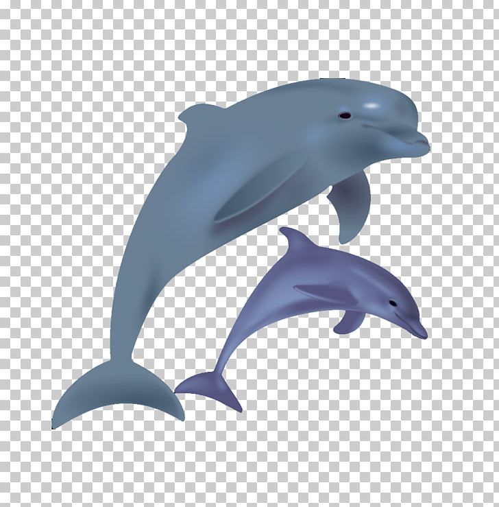 Bottlenose Dolphin PNG, Clipart, Animal, Animals, Aquarium, Cartoon Arms, Cartoon Character Free PNG Download