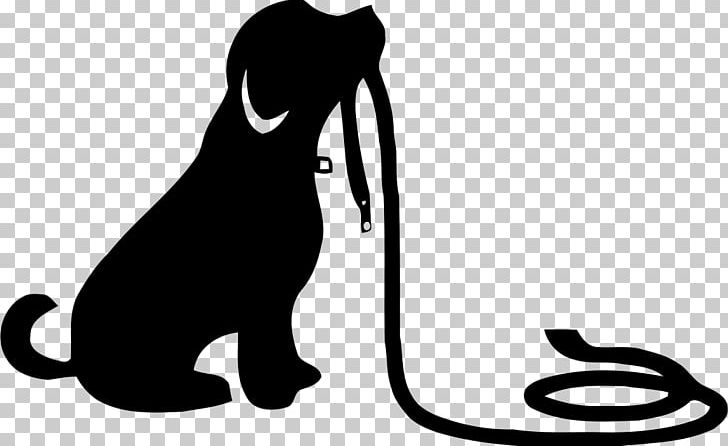 Cat Dog Leash Puppy Obedience School PNG, Clipart, Black, Black, Carnivoran, Cat, Cat Like Mammal Free PNG Download