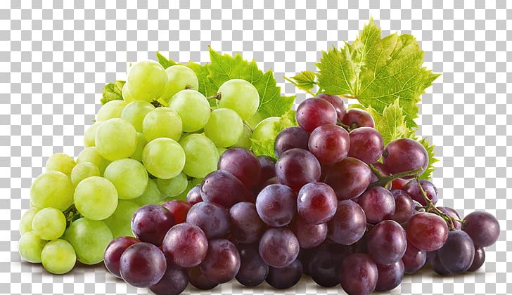 Common Grape Vine Cranberry Juice Food PNG, Clipart, Aereo, Common Grape Vine, Fruit, Fruit Nut, Grape Free PNG Download