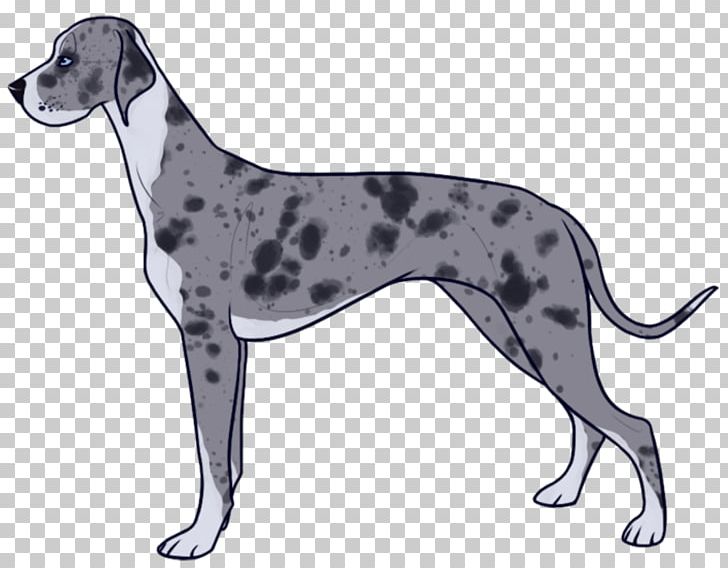 Dalmatian Dog Great Dane Italian Greyhound Sloughi Spanish Greyhound PNG, Clipart, 08626, Artificial Insemination, Breed, Carnivoran, Crossbreed Free PNG Download
