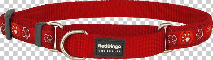 Dog Collar Dingo Martingale Strap PNG, Clipart, Buckle, Clothing Accessories, Collar, Dingo, Dog Free PNG Download