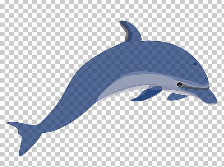 Dolphin Computer Icons PNG, Clipart, Animals, Bottlenose Dolphin, Desktop Wallpaper, Fauna, Mammal Free PNG Download