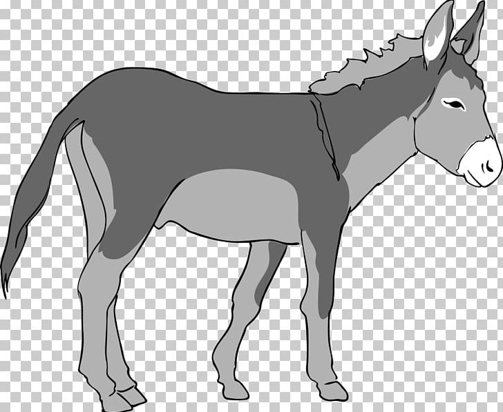 Donkey Free Content PNG, Clipart, Black And White, Blo, Fauna, Fictional Character, Head Free PNG Download