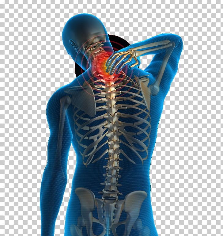 Neck Pain Low Back Pain Human Back Physical Therapy PNG, Clipart, Ache, Back, Back Pain, Chiropractic, Chiropractor Free PNG Download
