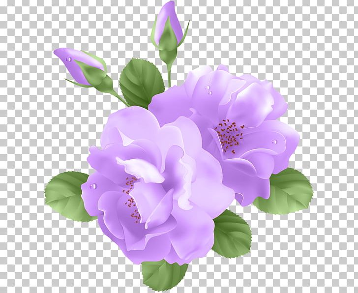 Rose Purple Flower PNG, Clipart, Annual Plant, Blue, Cut Flowers, Desktop Wallpaper, Flower Free PNG Download