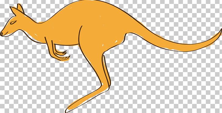 Kangaroo Drawing PNG, Clipart, Animal, Animals, Carnivoran, Cartoon, Cartoon Animals Free PNG Download