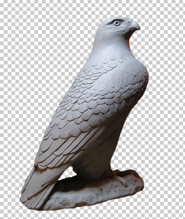 Black Hawk Statue Eagle Hawk Mountain Sanctuary Stone Sculpture PNG, Clipart, Animals, Art, Beak, Bird, Bird Of Prey Free PNG Download