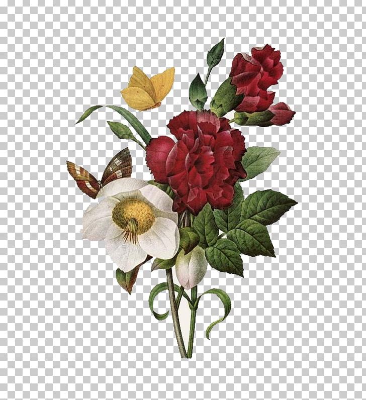 The Most Beautiful Flowers Amazon.com Roses The Book Of Flowers PNG, Clipart, Amazon.com, Book, Flowers, Roses, The Most Beautiful Free PNG Download