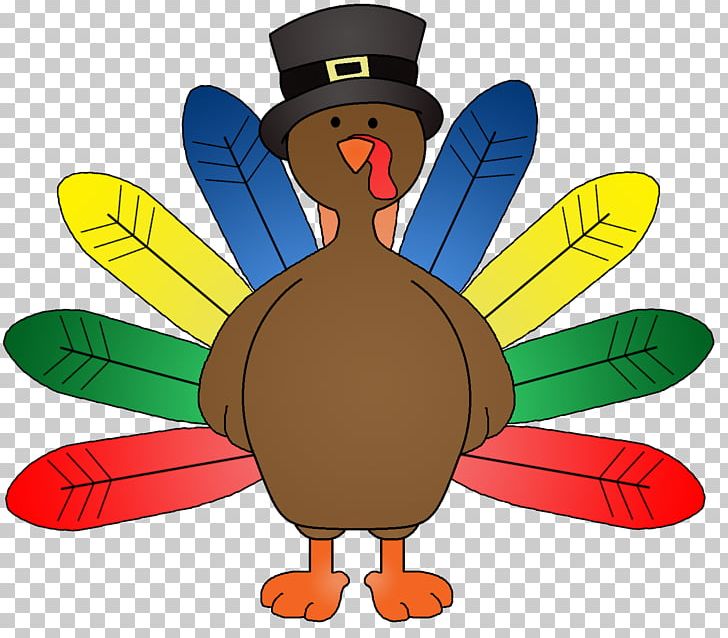 Turkey Meat Thanksgiving PNG, Clipart, Artwork, Beak, Bird, Blog, Download Free PNG Download