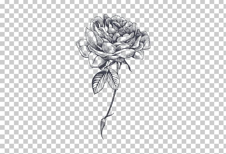 Drawing Rose YouTube Sketch PNG, Clipart, Artwork, Black, Black And White, Cut Flowers, Drawing Free PNG Download
