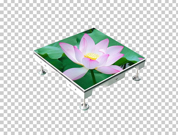 LED Display Light-emitting Diode Display Device Product PNG, Clipart, Billboard, Display Device, Export, Floor, Flower Free PNG Download