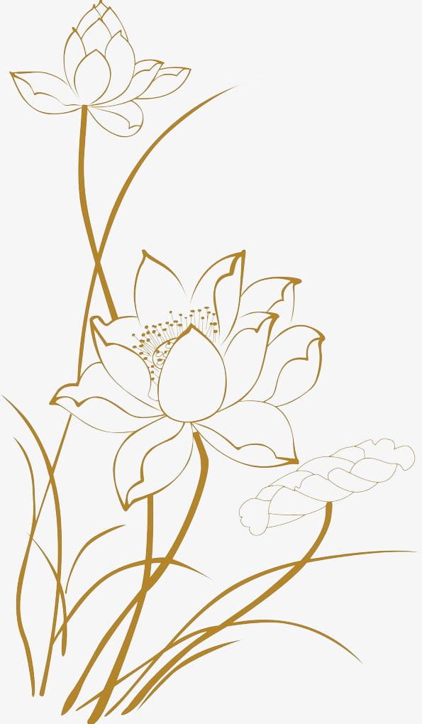 Lotus Line Drawings PNG, Clipart, Advertising, Advertising Design, Design, Drawings Clipart, Festival Free PNG Download