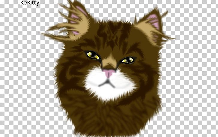 Whiskers Maine Coon Norwegian Forest Cat Wildcat Fur PNG, Clipart, Carnivoran, Cat, Cat Like Mammal, Claw, Eye Free PNG Download