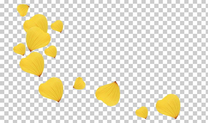 Petal Flower Yellow PNG, Clipart, Download, Flower, Heart, Nature, Petal Free PNG Download