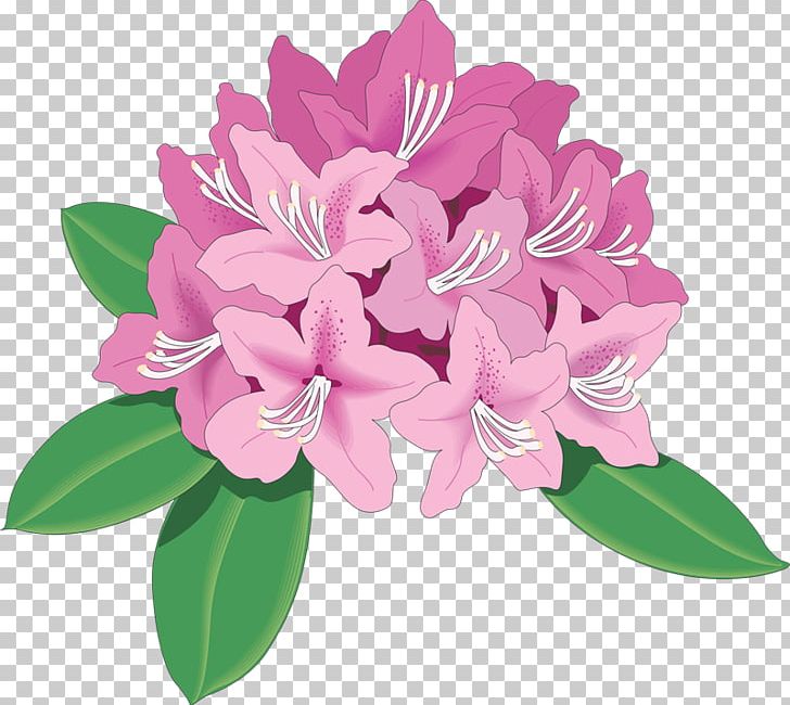 Rhododendron Azalea Drawing PNG, Clipart, Arco De Flores, Azalea, Cut Flowers, Digital Image, Drawing Free PNG Download