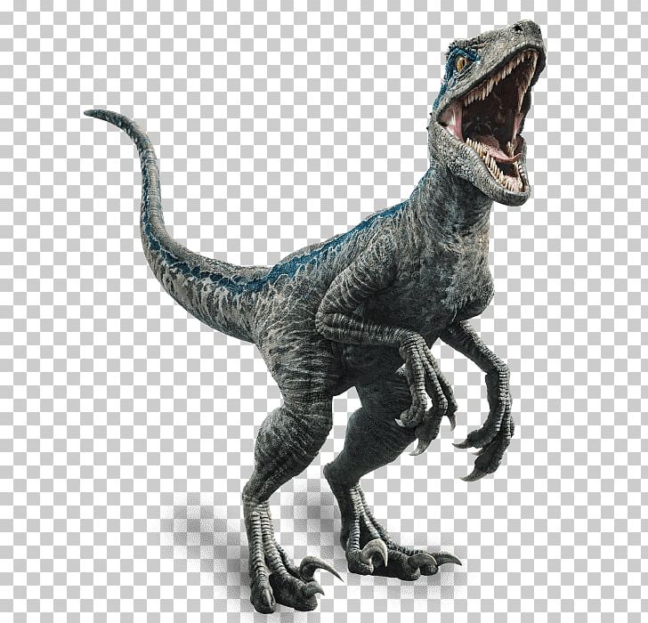 Velociraptor Owen Jurassic World Evolution Dinosaur Jurassic Park PNG, Clipart, Animal Figure, Blue, Dinosaur, Film, Ingen Free PNG Download