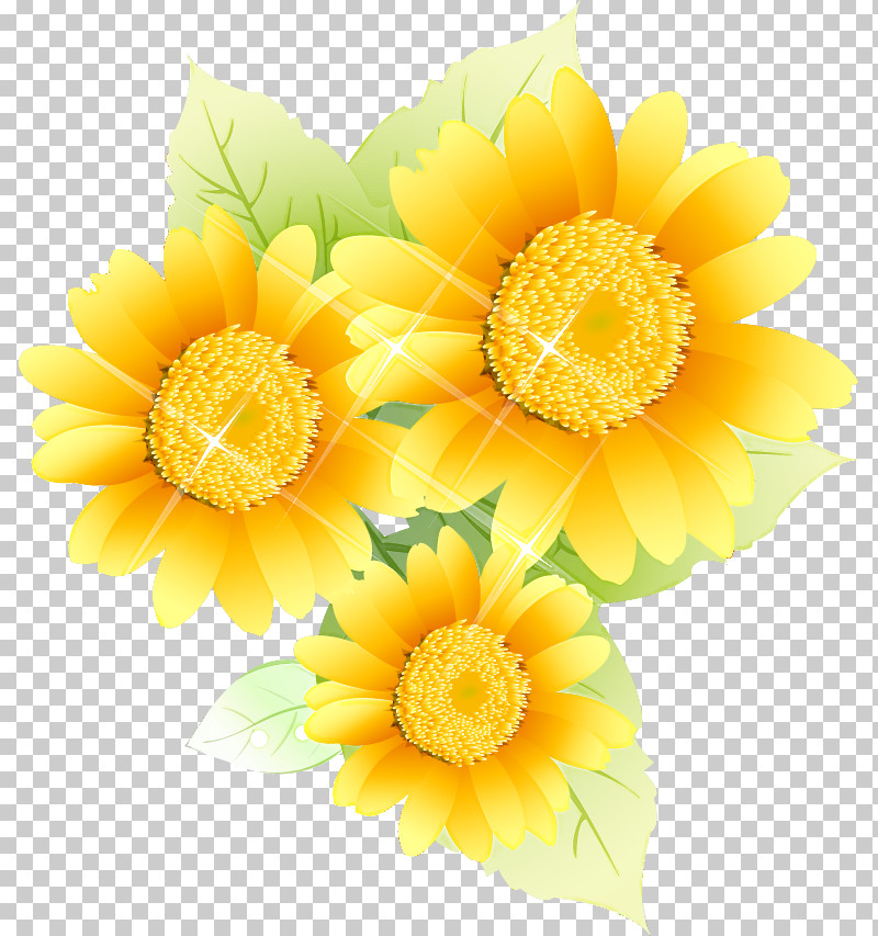 Sunflower Summer Flower PNG, Clipart, Chrysanthemum, Cut Flowers, Floral Design, Flower, Petal Free PNG Download