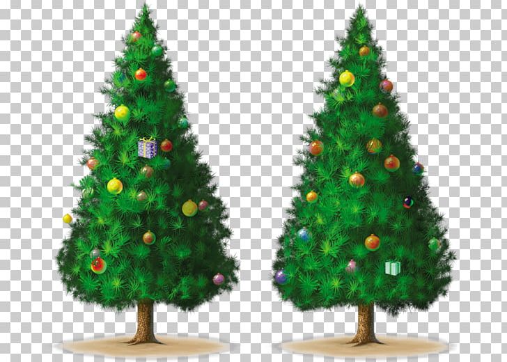 Christmas Tree Drawing Spruce PNG, Clipart, Animaatio, Christmas, Christmas Decoration, Christmas Ornament, Christmas Tree Free PNG Download