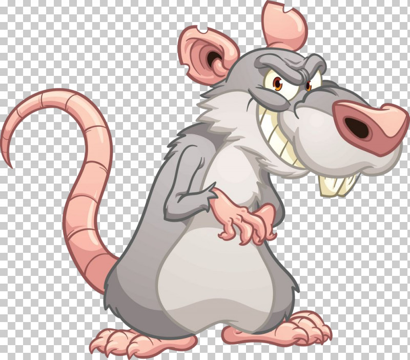 Rat Cartoon Mouse Muridae Muroidea PNG, Clipart, Cartoon, Mouse, Muridae, Muroidea, Pest Free PNG Download