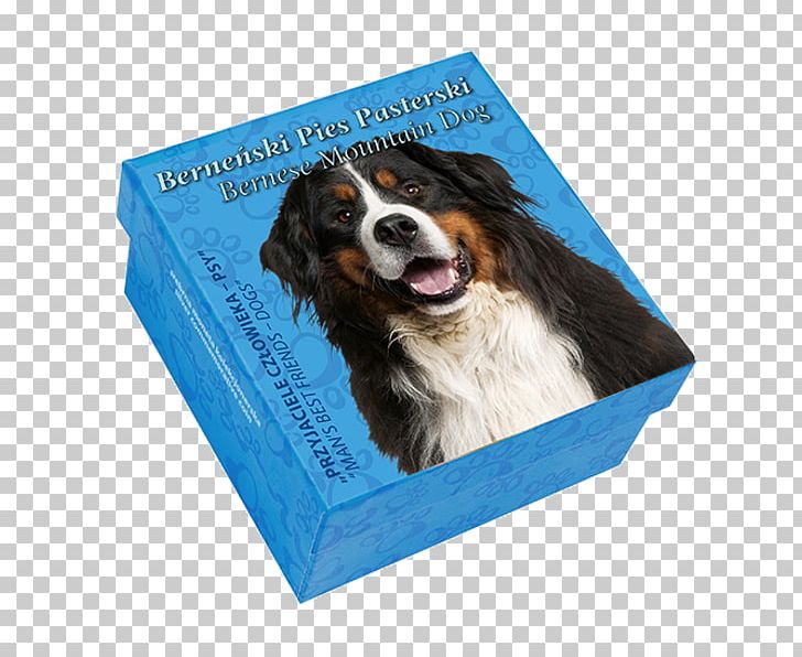 Dog Breed Bernese Mountain Dog Puppy Herding Dog PNG, Clipart, Animal Coloration, Animals, Bernese Mountain Dog, Breed, Coat Free PNG Download