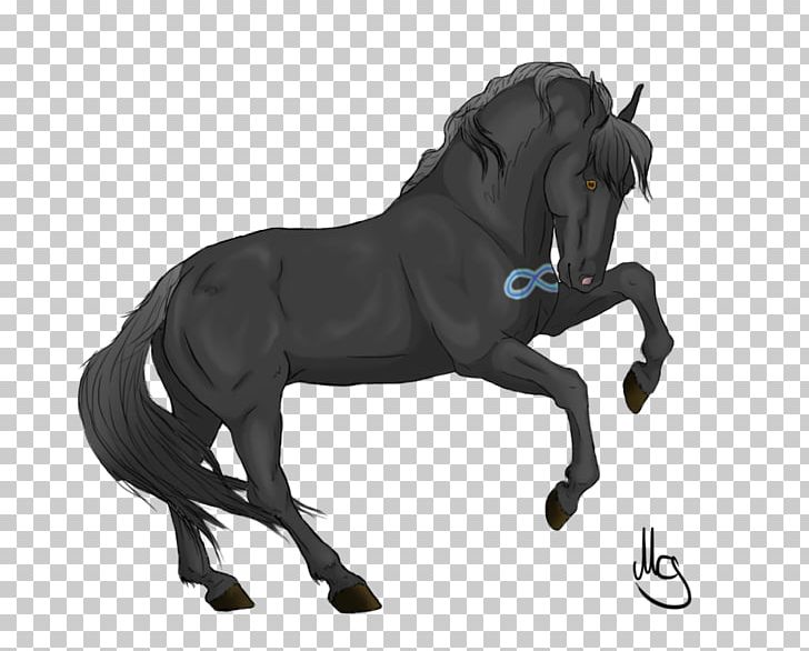 Mane Mustang Stallion Mare Halter PNG, Clipart, Black And White, Bridle, Conrad Black, English Riding, Fictional Character Free PNG Download