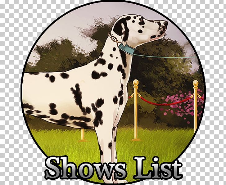 Dalmatian Dog Dog Breed Non-sporting Group Kennel Club PNG, Clipart, Art, Breed, Carnivoran, Conformation Show, Dalmatian Free PNG Download