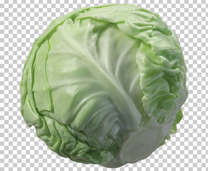 Napa Cabbage Cauliflower Vegetable PNG, Clipart, Brassica Oleracea, Cabbage, Cauliflower, Chinese Cabbage, Collard Greens Free PNG Download