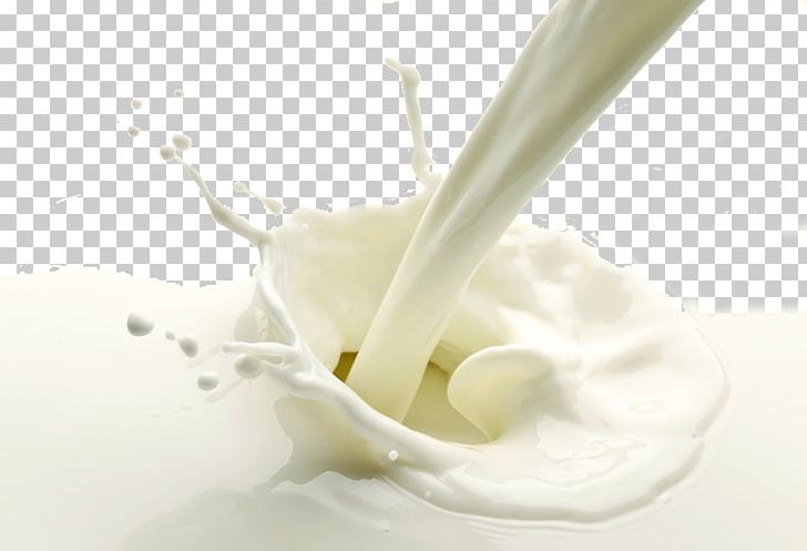 Skimmed Milk Cream Dairy Product Raw Milk PNG, Clipart, Coconut Milk, Condensed Milk, Cream, Cream Cheese, Creme Fraiche Free PNG Download