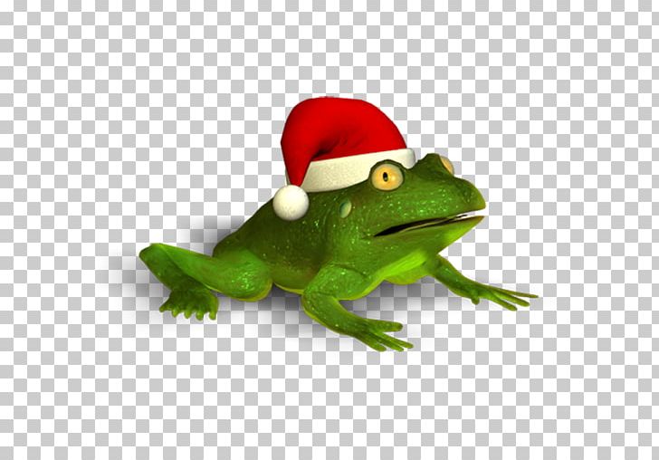 True Frog Tree Frog Christmas Trachycephalus PNG, Clipart, Amphibian, Animals, Christmas, Christmas Ornament, Download Free PNG Download