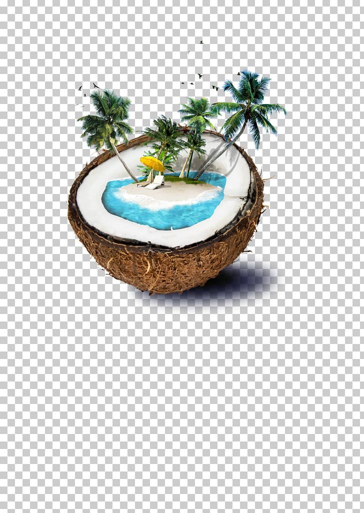 Weligama Coconut Water Beach PNG, Clipart, Bar, Beach, Coco, Coconut, Coconut Water Free PNG Download