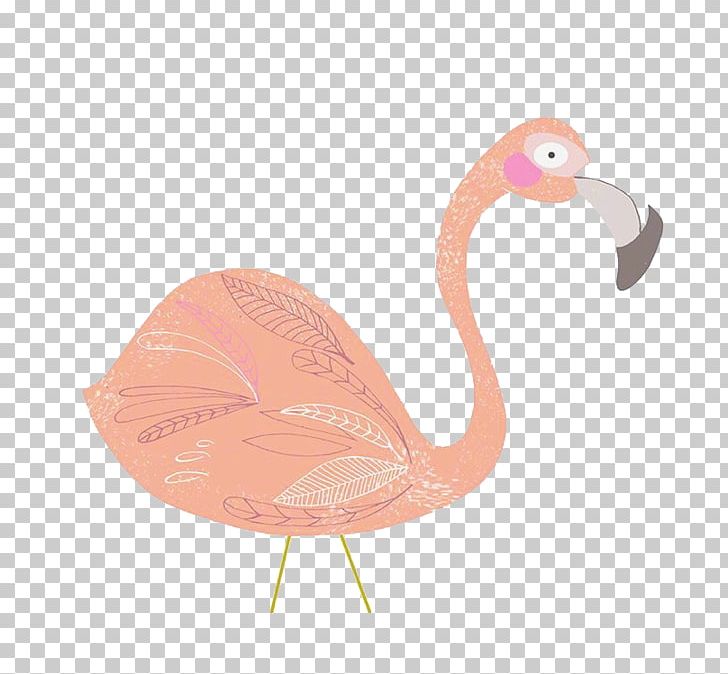 Beak Flamingo PNG, Clipart, Animals, Beak, Bird, Flamingo, Hand Free PNG Download