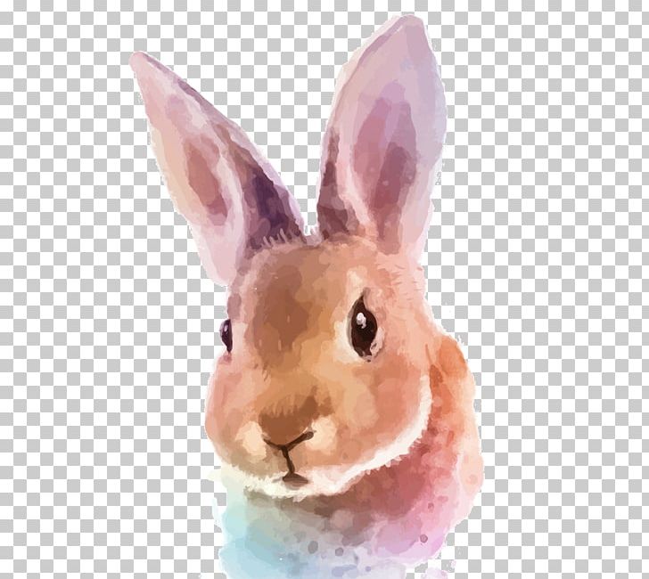 White Rabbit Watercolor Painting PNG, Clipart, Animals, Domestic Rabbit, Drawing, Easter Bunny, Hare Free PNG Download