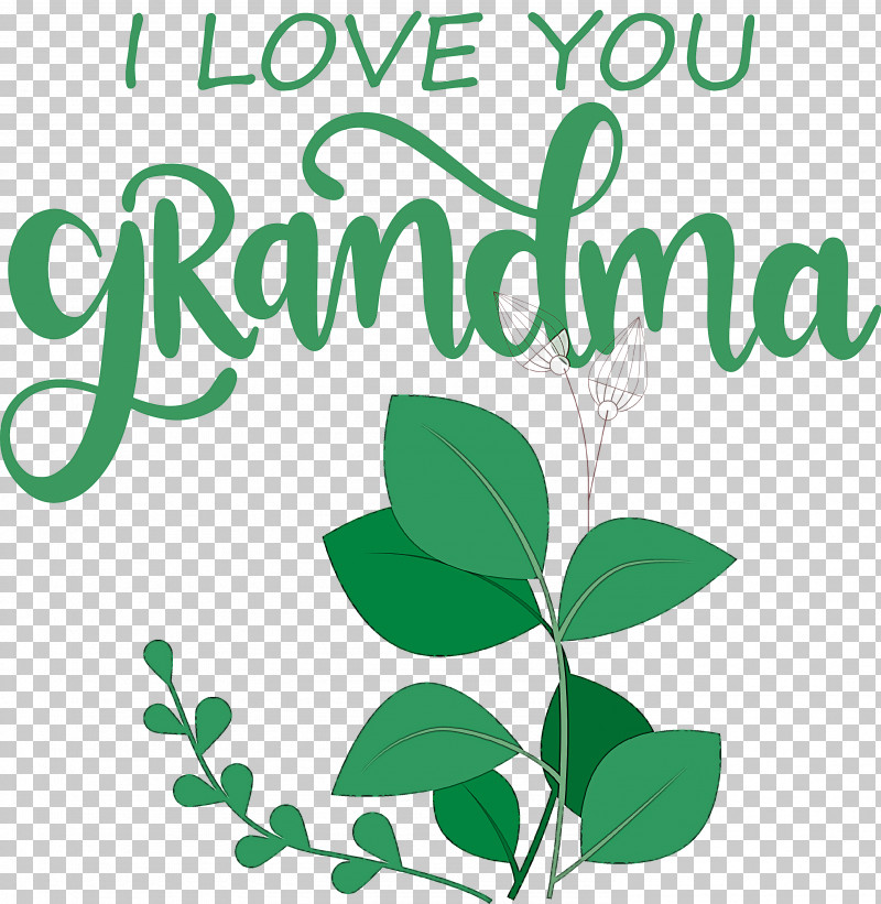 Grandmothers Day Grandma PNG, Clipart, Flower, Grandma, Grandmothers Day, Green, Leaf Free PNG Download