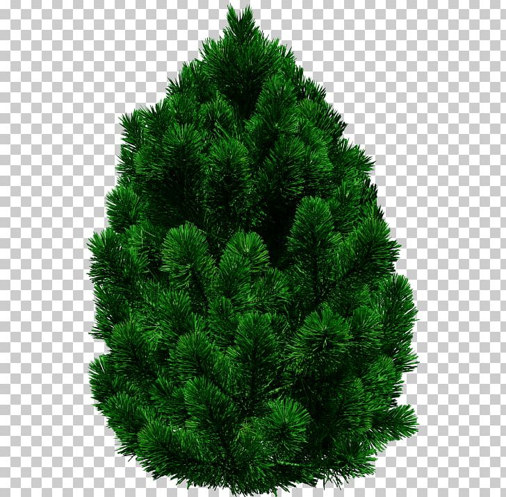 Portable Network Graphics Stone Pine Fir Tree PNG, Clipart, Background, Biome, Christmas Decoration, Christmas Tree, Conifer Free PNG Download
