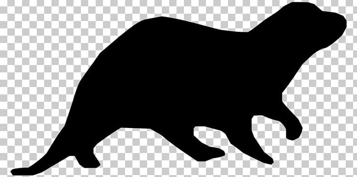 Whiskers Sea Otter North American River Otter Computer Icons PNG, Clipart, Black, Black And White, Carnivoran, Cat, Cat Like Mammal Free PNG Download