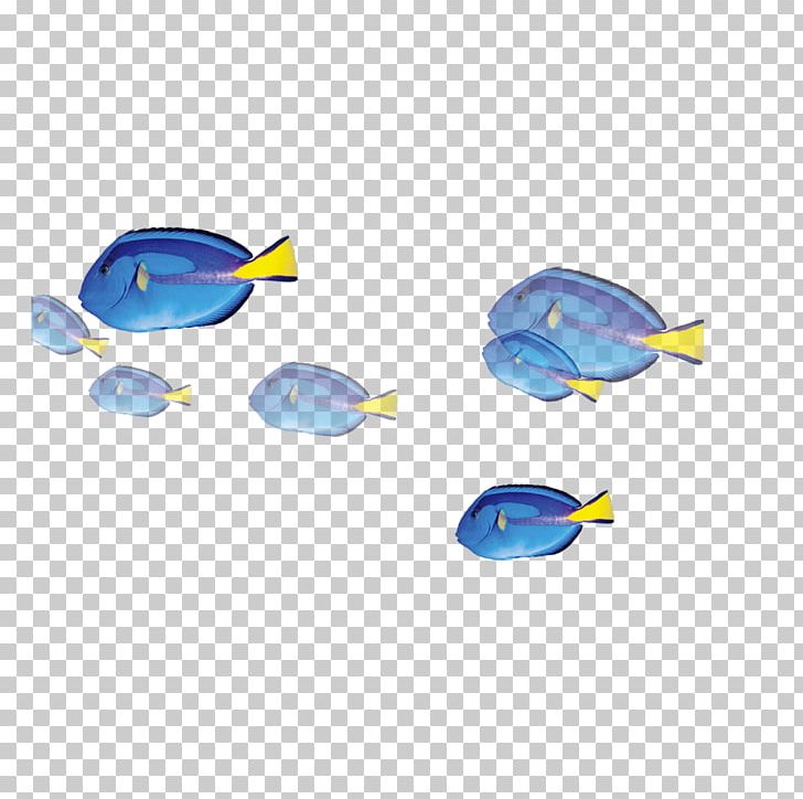 Fish Blue PNG, Clipart, Animals, Aqua, Blue, Blue Abstract, Blue Background Free PNG Download